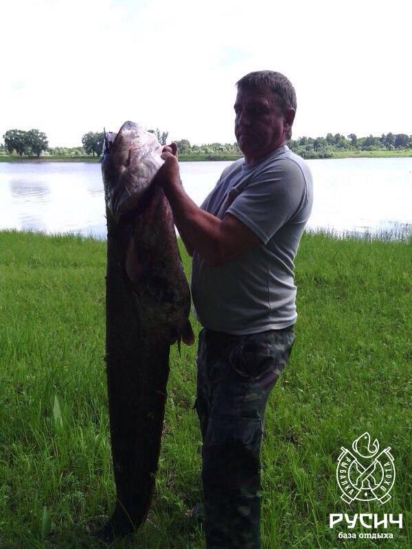 новгородская область рыбалка на ловати