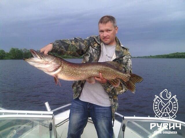 рыбалка в новгородской области река ловать